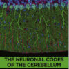The Neuronal Codes of the Cerebellum 1st Edition