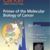 Cancer: Principles & Practice of Oncology: Primer of the Molecular Biology of Cancer Second Edition