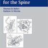 Surgical Techniques for the Spine 1st Edition
