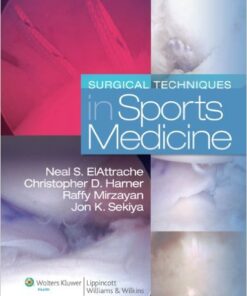 Surgical Techniques in Sports Medicine 1st Edition