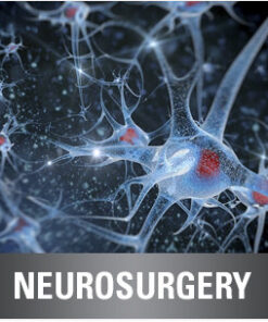 Neurosurgery CME Online Bundle 2017 - Video & PDF