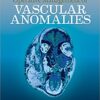 Operative Management of Vascular Anomalies 1st Edition PDF & VIDEO