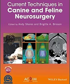 Current Techniques in Canine and Feline Neurosurgery 1st Edition