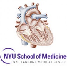 Comprehensive Cardiology Seminar and Board Review Course (NYU) 2015 (CME Videos)
