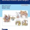 Video & PDF An Anatomic Approach to Minimally Invasive Spine Surgery, 2nd Edition