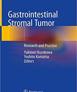 Gastrointestinal Stromal Tumor: Research and Practice 1st ed. 2019 Edition PDF