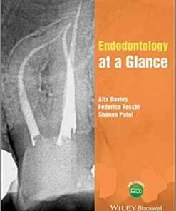 Endodontology at a Glance 1st Edition PDF