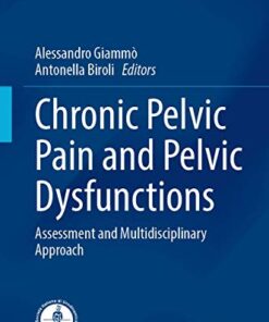 Chronic Pelvic Pain and Pelvic Dysfunctions: Assessment and Multidisciplinary Approach (Urodynamics, Neurourology and Pelvic Floor Dysfunctions) 1st ed. 2021 Edition (ORIGINAL PDF from Publisher)