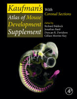 Kaufman's Atlas of Mouse Development Supplement Coronal Images
