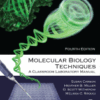 Molecular Biology Techniques A Classroom Laboratory Manual