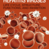 Studies on Hepatitis Viruses Life Cycle, Structure, Functions, and Inhibition