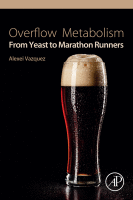 Overflow Metabolism From Yeast to Marathon Runners
