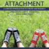Adult Attachment A Concise Introduction to Theory and Research