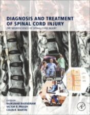 Diagnosis and Treatment of Spinal Cord Injury 1st Edition 2022 Original pdf