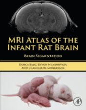 MRI Atlas of the Infant Rat Brain: Brain Segmentation 2022 Original PDF