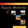 Current Therapy in Equine Medicine 6th Edition