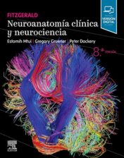 Fitzgerald. Neuroanatomía clínica y neurociencia, 8th edition