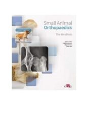 Small animal orthopaedics. The hindlimb