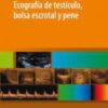 Ecografía de Testículo, Bolsa Escrotal y Pene (High Quality Image PDF