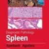 Diagnostic Pathology: Spleen, 2nd Edition 2022 EPUB + Converted PDF