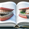 biomimetic restorative dentistry