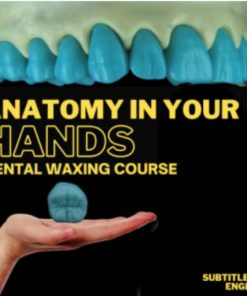 Dental Waxing Course