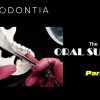 Exodontia The Oral Surgery Accelerator Course
