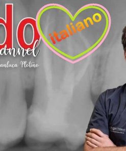 Endo Channel, L'Eccellenza nel Trattamento Endodontico Reso Facile / Gianluca Plotino 