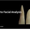 Spear An Introduction to Facial Analysis 