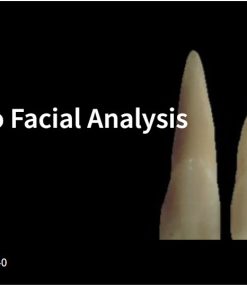Spear An Introduction to Facial Analysis 
