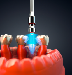Top 10 Best Dental Courses in 2023