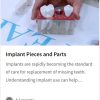 Implant Pieces and Parts