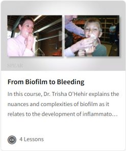 From Biofilm to Bleeding