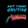 Ninja Soft Tissue Grafting