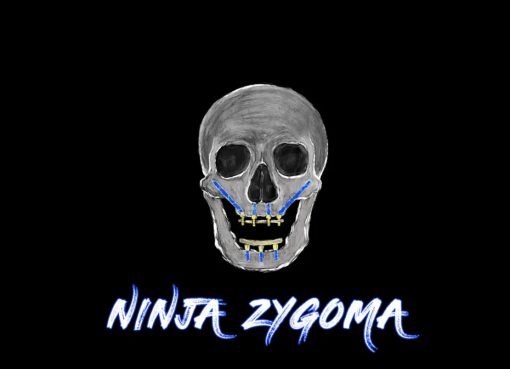 Ninja Zygoma