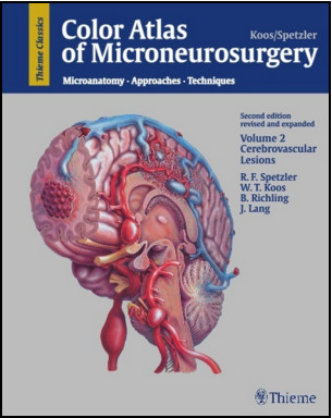 Color Atlas of Microneurosurgery Microanatomy, Approaches and Techniques, Volume 2: Cerebrovascular Lesions, 2nd Edition