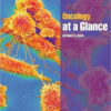 1462285940 2016 05 03212852.jpg
