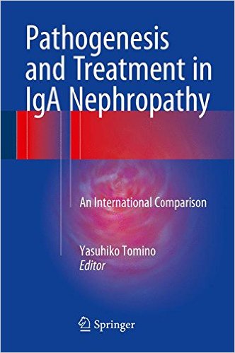Pathogenesis and Treatment in IgA Nephropathy: An International Comparison 1st ed. 2016 Edition