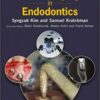 1509950780 microsurgery in endodontics 233x.jpg