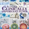 1509991581 atlas of clinically important fu.jpg