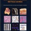 1510130248 who classification of tumours of.jpg