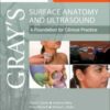 1523000277 grays surface anatomy and ultras.jpg