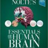 1523000464 noltes essentials of the human b.jpg