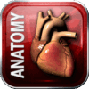 1524422023 anatomylargc3aa 350x350 300x300 1.png