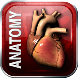Doctors In Training – Solid Anatomy (Videos+PDFs)