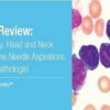 1532934423 pathology review hematopathology.jpg