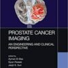 1541870052 prostate cancer imaging an engin.jpg