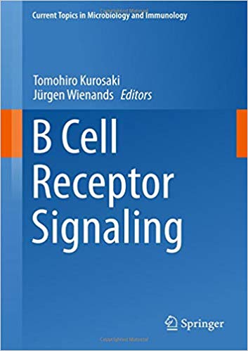 B Cell Receptor Signaling (Current Topics in Microbiology and Immunology) 1st ed. 2016 Edition