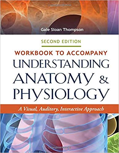 Workbook to Accompany Understanding Anatomy & Physiology: A Visual, Auditory, Interactive Approach 2nd Edition