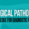 1641888508 1813599637 gynecological pathology essential knowledge for diagnostic practice 2022.png